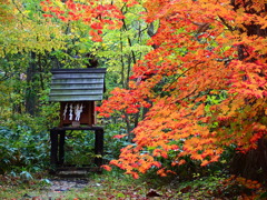 「祠と紅葉」