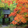 「祠と紅葉」