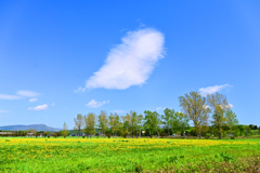 「ポッント雲」