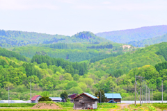 「新緑の里山」