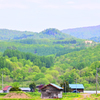 「新緑の里山」