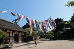 古民家の鯉のぼり
