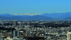 川崎から見える山