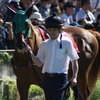 京王杯SC クリノガウディー パドック
