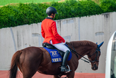 東京競馬場