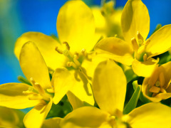 松ヶ丘市民の森にて