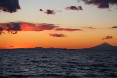 いなげの浜にて