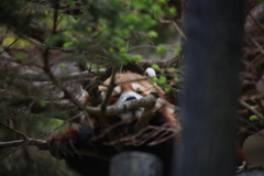 千葉市動物公園にて