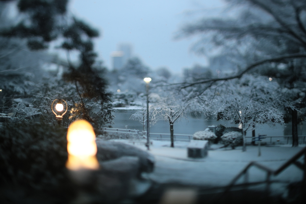 今朝の千葉公園
