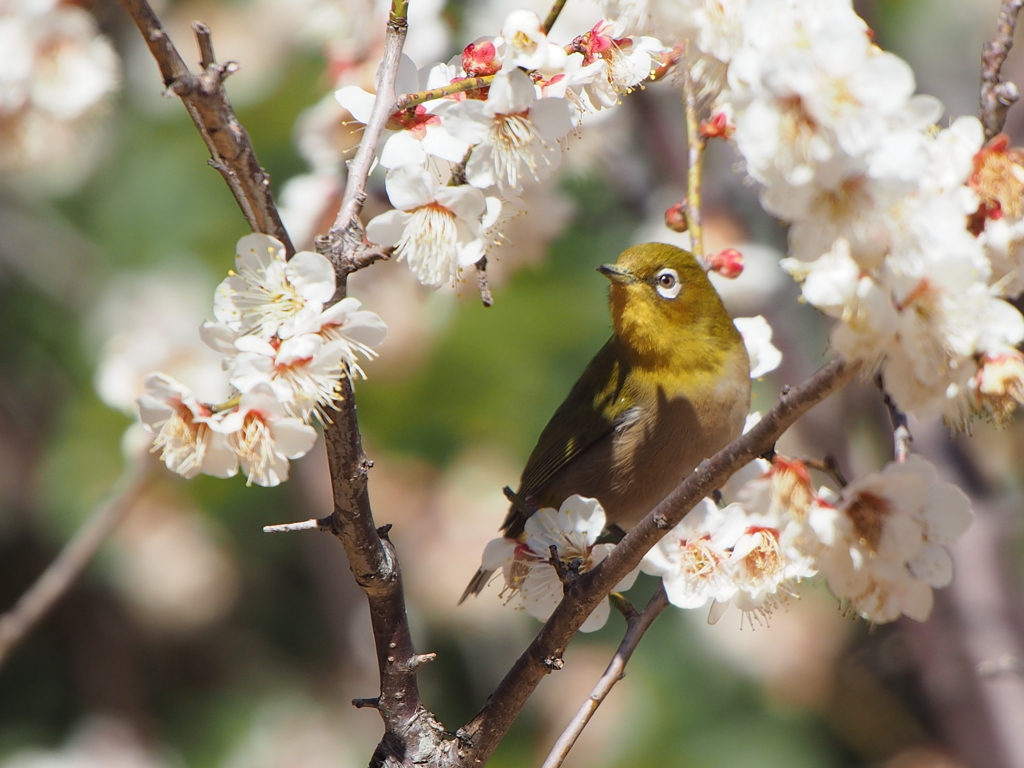 青葉の森公園にて