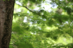 千葉市動物公園にて