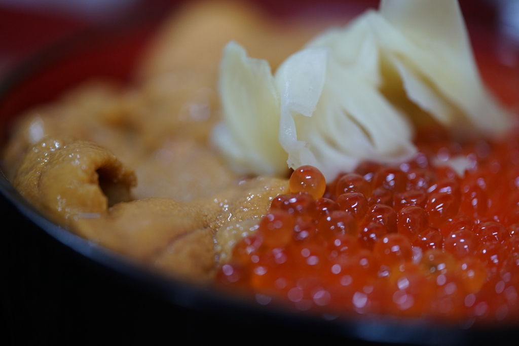 本日の目的、ガリが主役