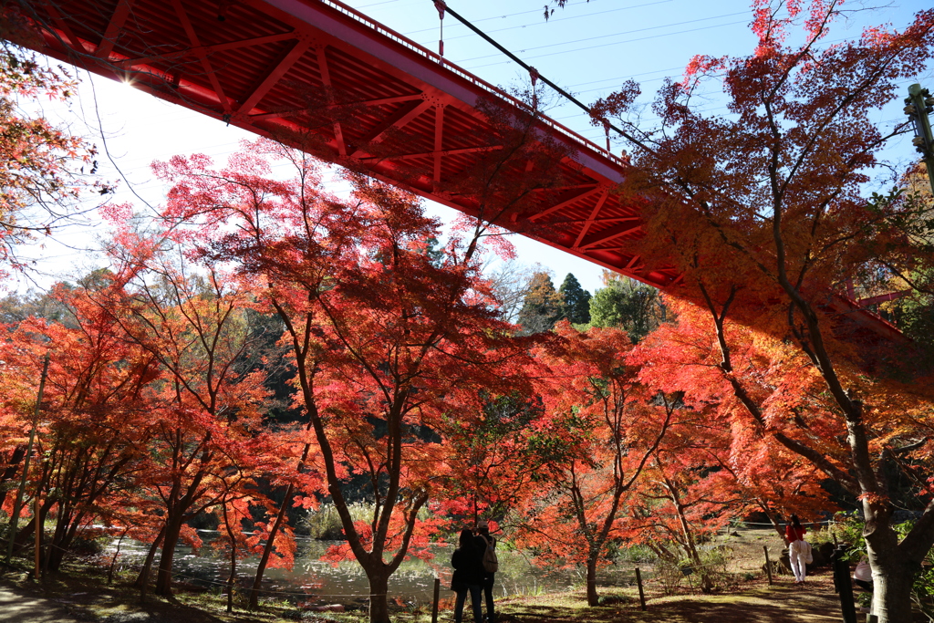泉自然公園にて