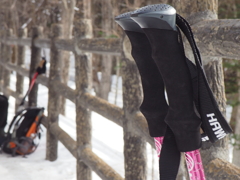 日光戦場ヶ原にて