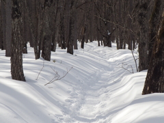 日光戦場ヶ原にて
