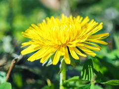 松ヶ丘市民の森にて