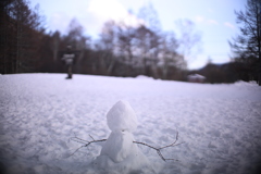 日光戦場ヶ原にて