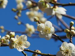青葉の森公園にて