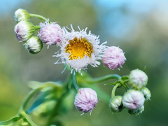 松ヶ丘市民の森にて
