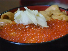 オリンパスバージョン本日のごちそう