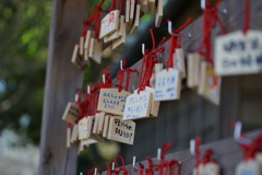 体験博物館　千葉県立房総の村にて