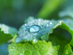 雨のち晴れ