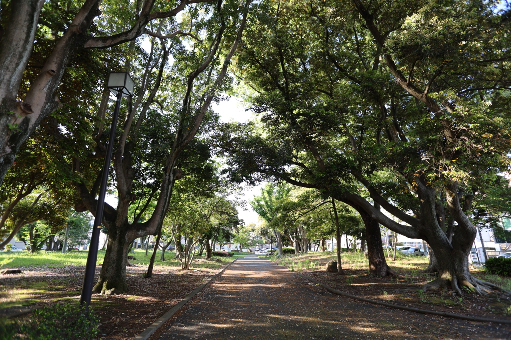 千葉公園