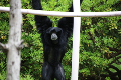 千葉市動物公園にて