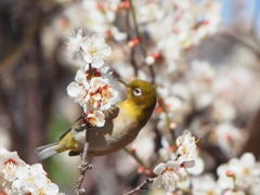 青葉の森公園にて