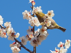 青葉の森公園にて