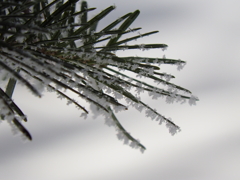 日光戦場ヶ原にて