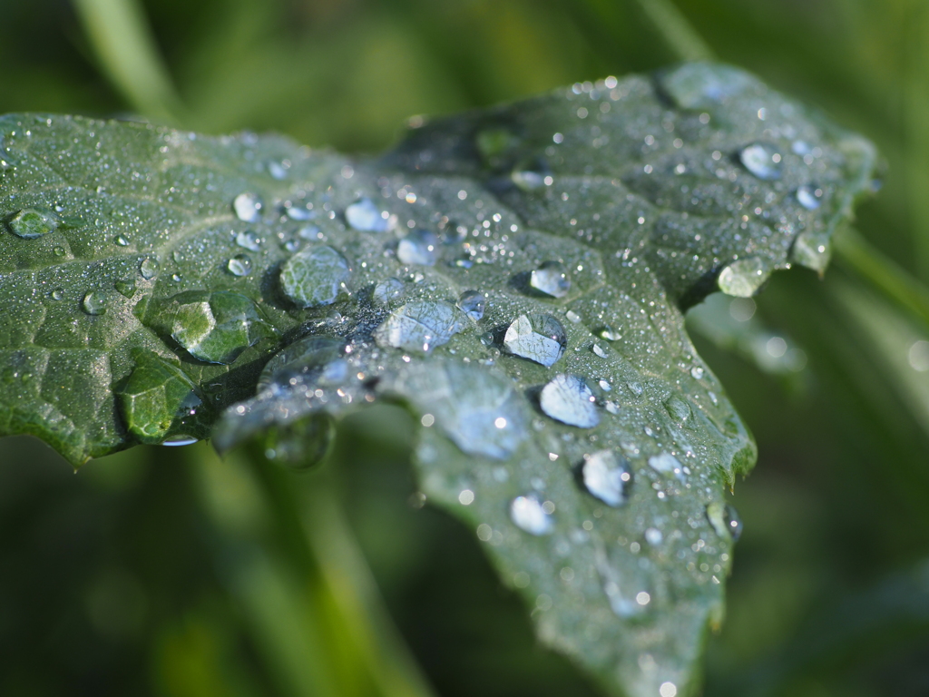 雨のち晴れ