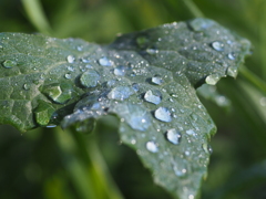 雨のち晴れ