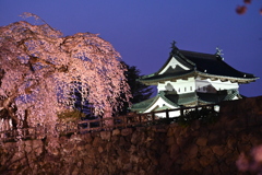 桜とお城