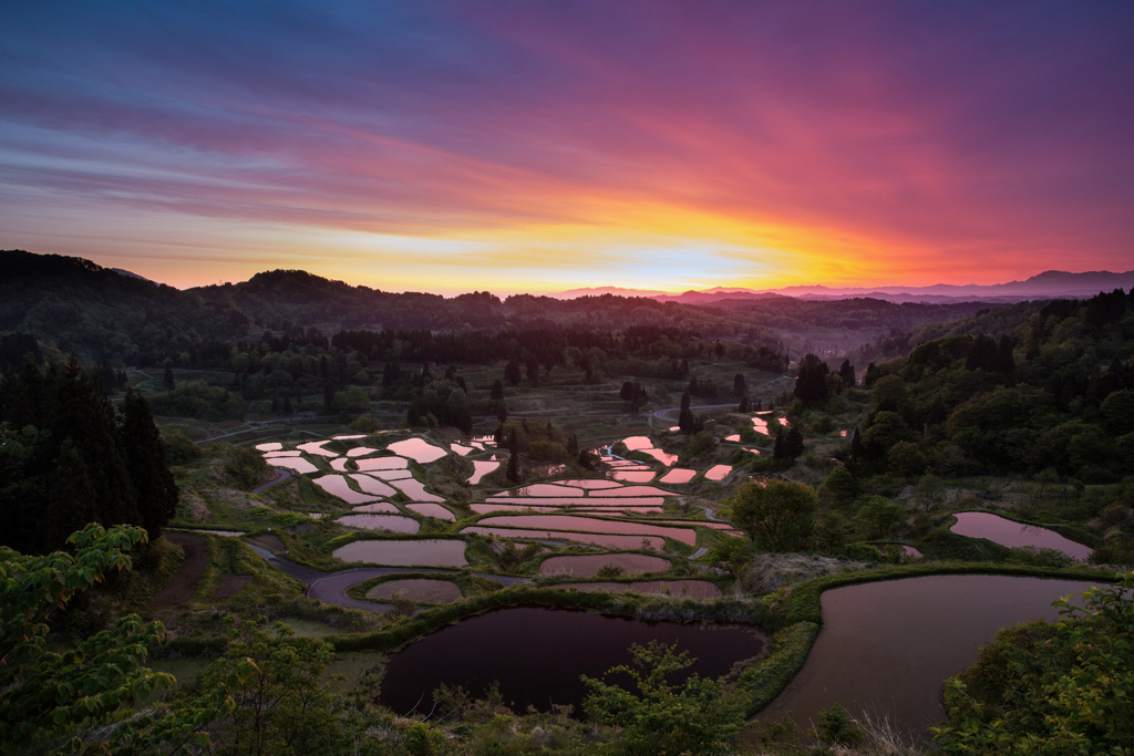 星峠の棚田