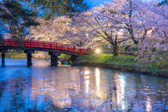 弘前公園の夜桜