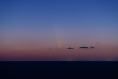 紫金山・アトラス彗星
