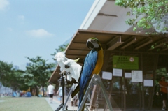 觀塘海濱公園拍攝