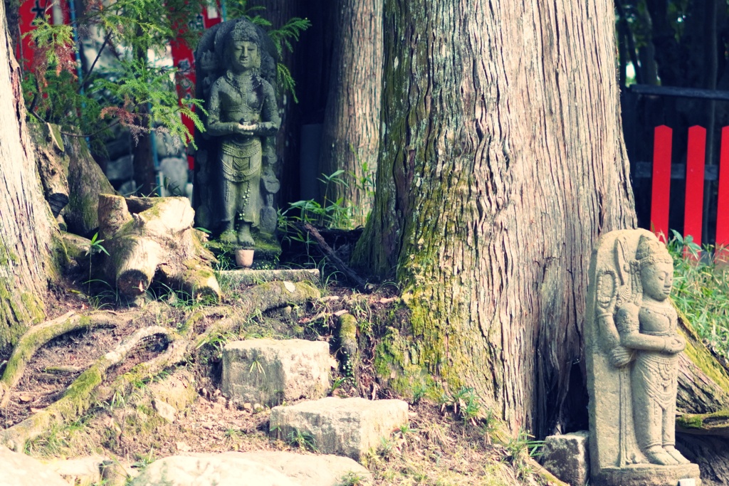 観心寺像