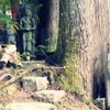 観心寺像