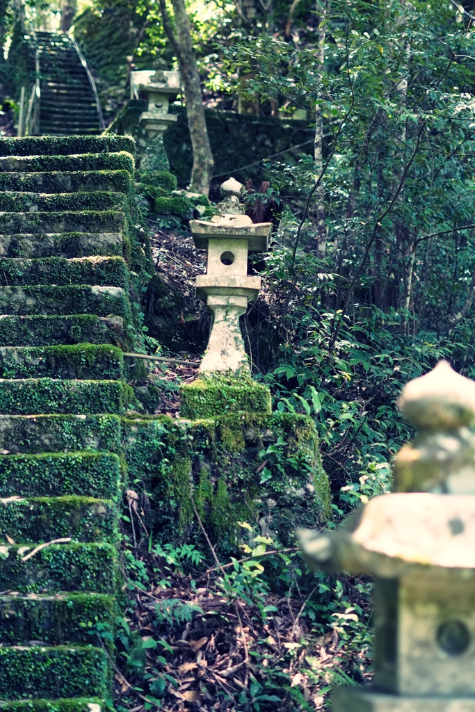 苔段