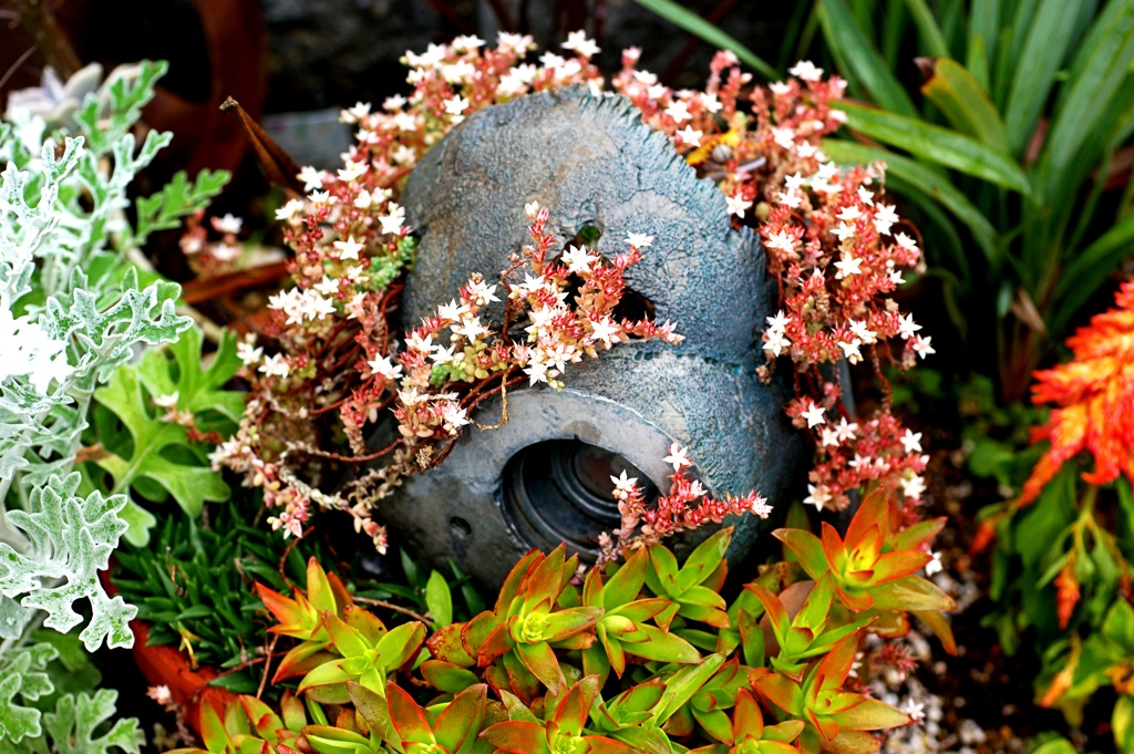 花壇