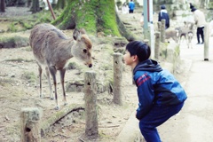 こんにちわ