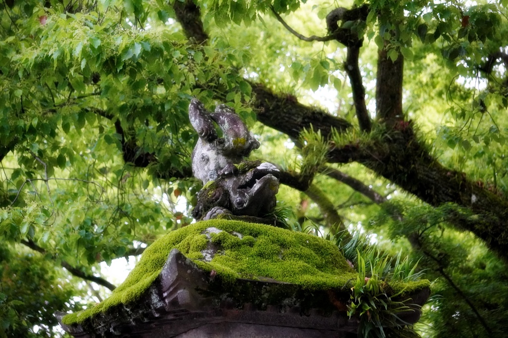 逆立ち