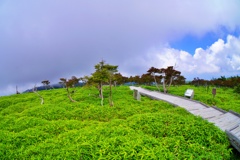 高原