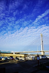 港の空