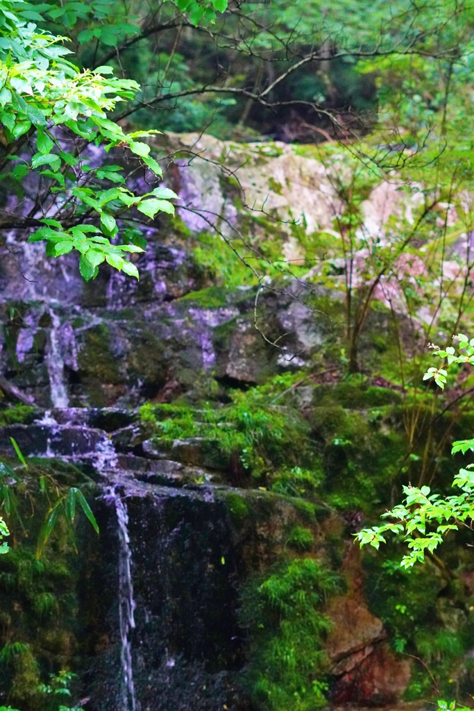 水滝