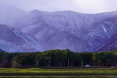 初雪