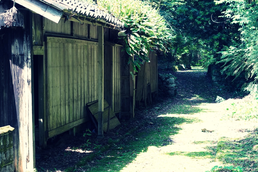 廃村
