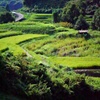 千早赤阪村